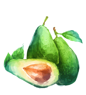 avo